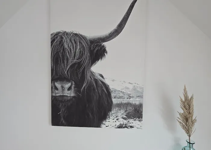 44 אגמונד אן זי