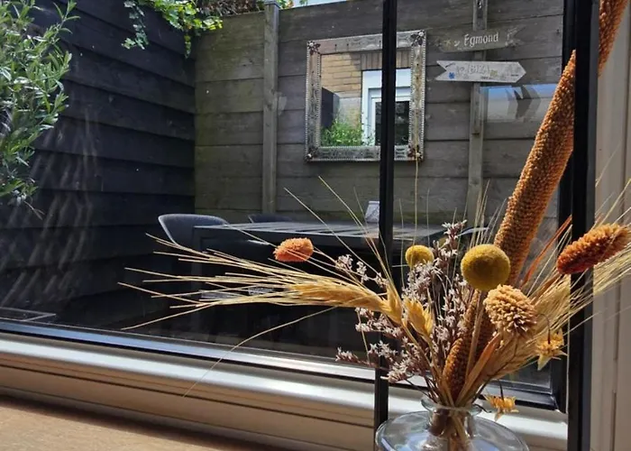 度假居 44 海边的艾格蒙特